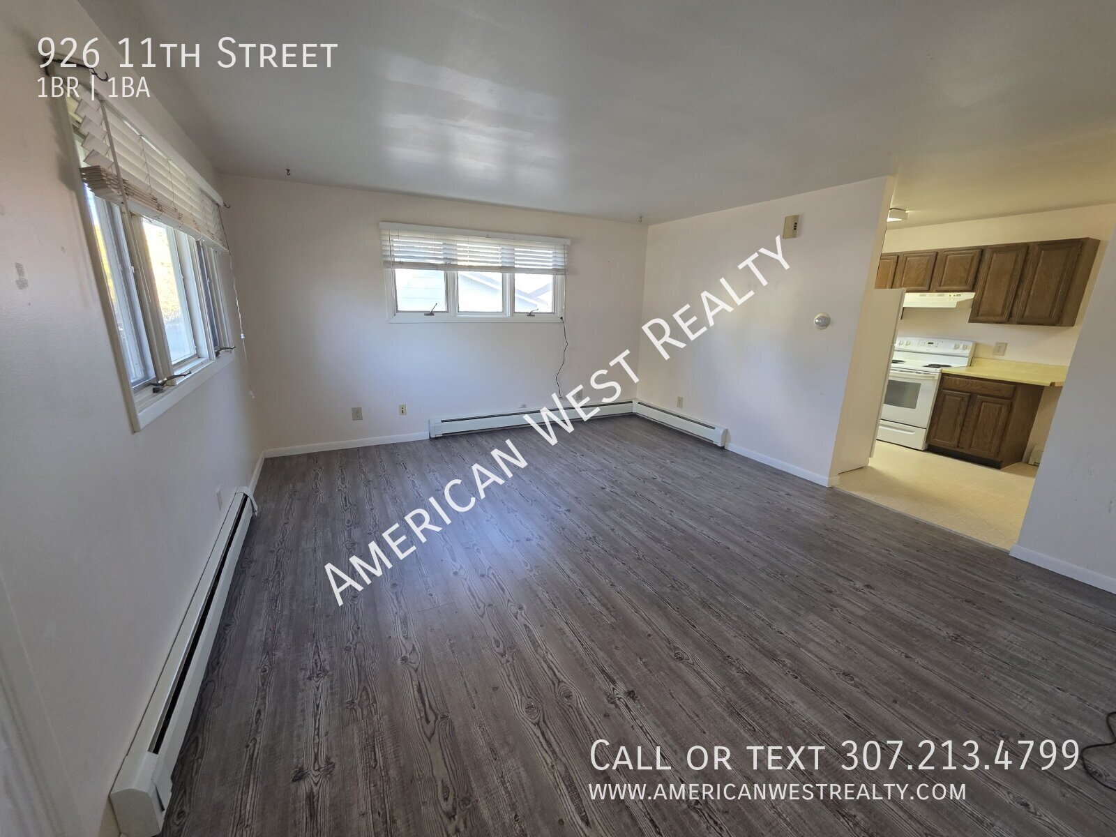 Large 1 Bedroom apartment property image