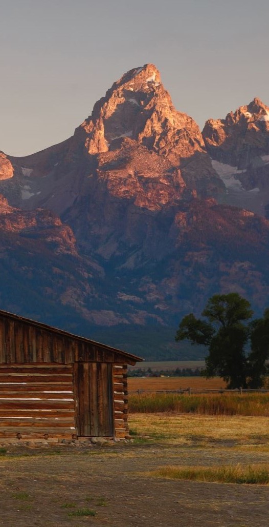 cody-and-powell-property-managers-american-west-realty-and-management