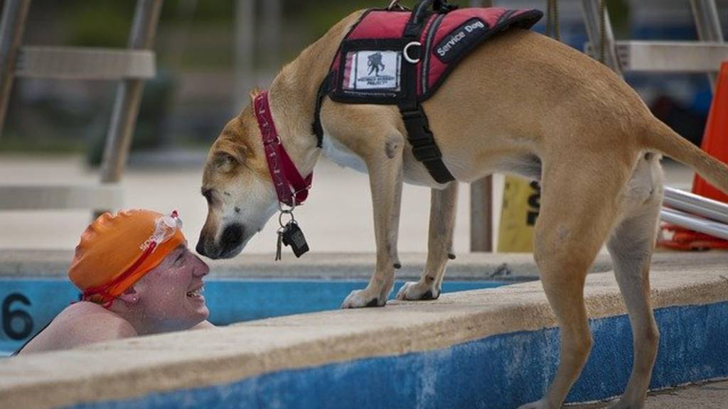 Emotional Support Animals and Fair Housing