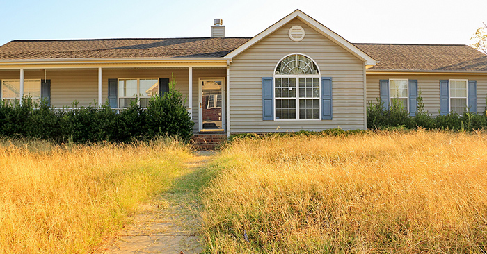 Poor Landscaping Can Have a Seriously Negative Impact on Property Value