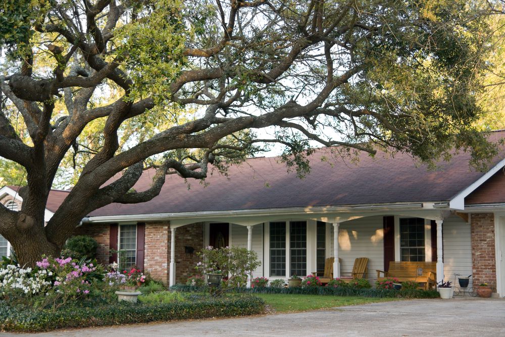 Meeteetse Property Management